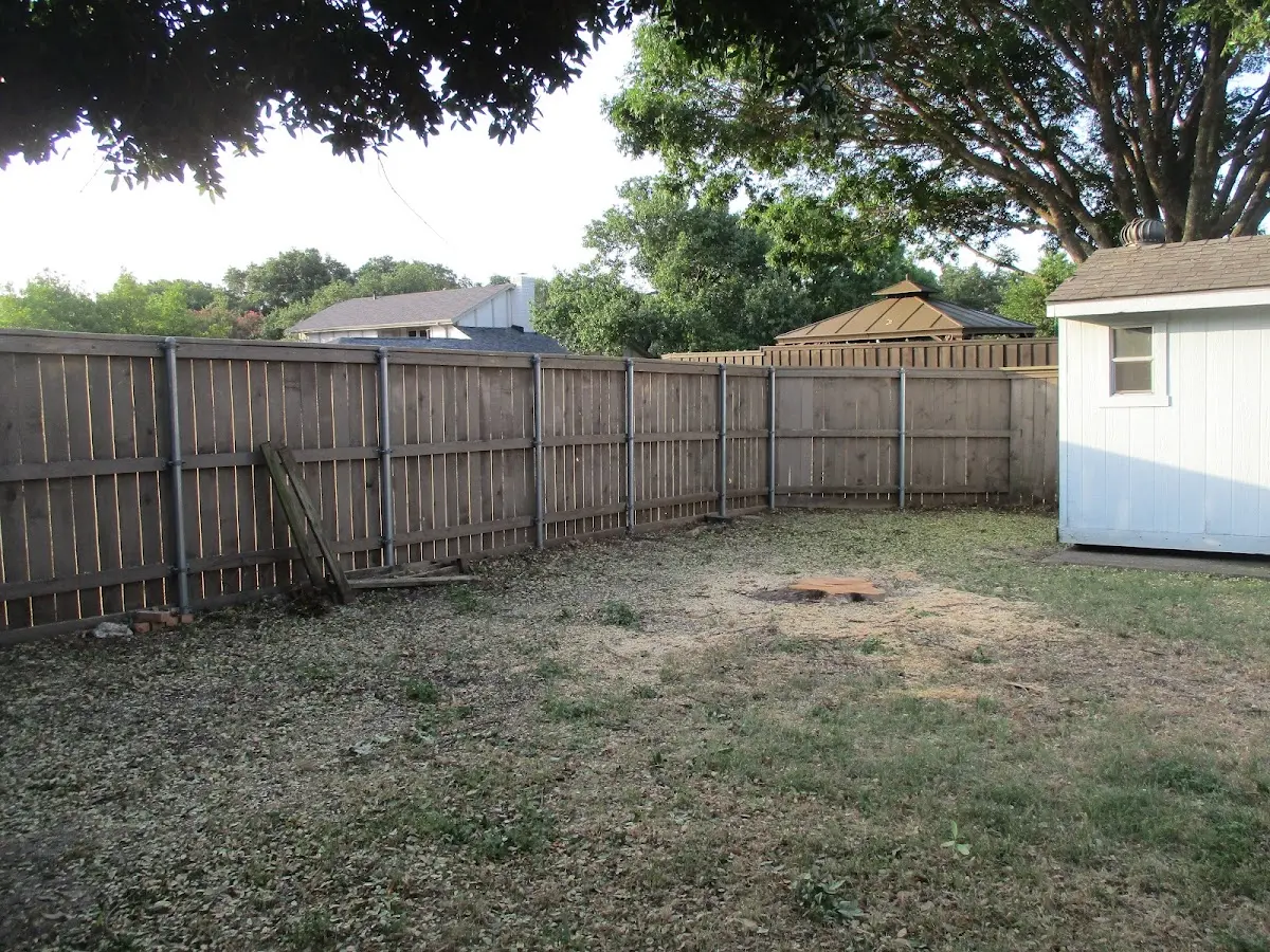 Cleared yard after professional tree removal in Vienna